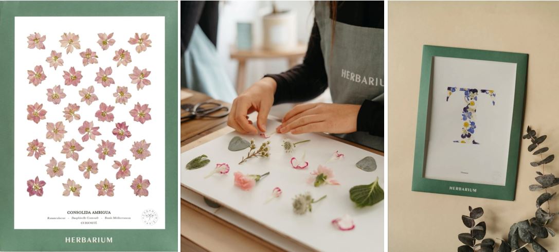 HERBARIUM