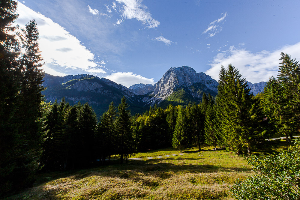 alpine